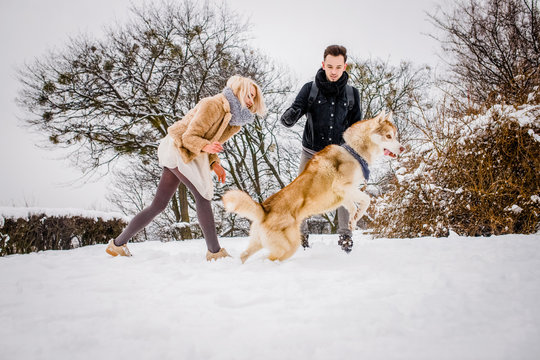 Girl and her boyfriend teach the dog to perform commands