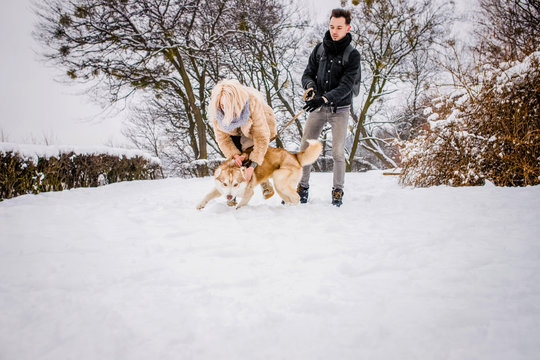 Hatiko Bilder Durchsuchen 215 Archivfotos, und Videos