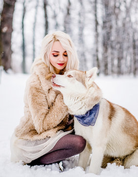 Hatiko Bilder Durchsuchen 215 Archivfotos, und Videos