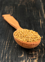 Seeds fenugreek in spoon