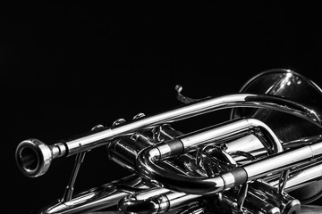 Classic musical cornet of black and white.	