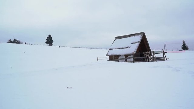 Dog sled passing by a wooden chalet