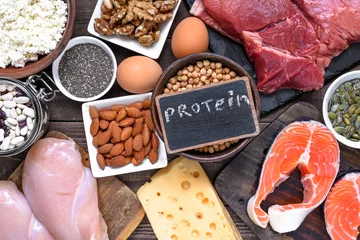 Stoff pro Meter Auswahl von Nahrungsquellen für Protein. gesunde ernährung konzept © samael334