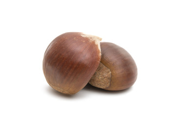 chestnut edible isolated