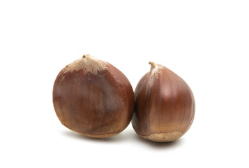 Obraz premium chestnut edible isolated