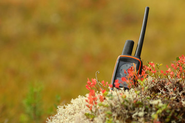GPS, the device which  helps to find the dog in the forest 