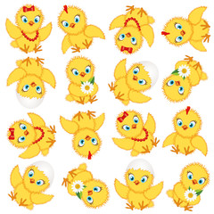 chicken baby pattern