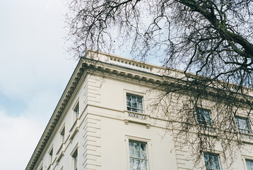 Corner of a large stately white building with branches of a leafless tree above