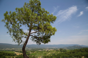 Fototapeta na wymiar Roussillon, südfranzösische Gemeinde im Département Vaucluse, Region Provence-Alpes-Côte d’Azur und Naturpark Luberon.