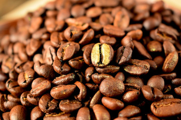Golden roasted coffee bean among the others in a wooden bowl