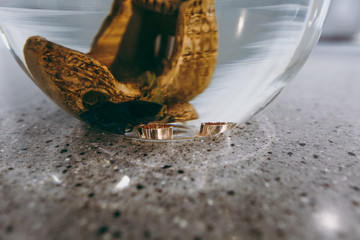 Close up Two beautiful stylish gold broad wedding rings of the bride and groom at the bottom of a transparent aquarium with a gilded scenery and fish. Wedding accessories, jewelry