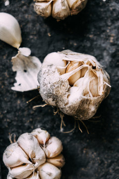 Garlic