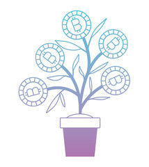 plant with bitcoins icon vector illustration design