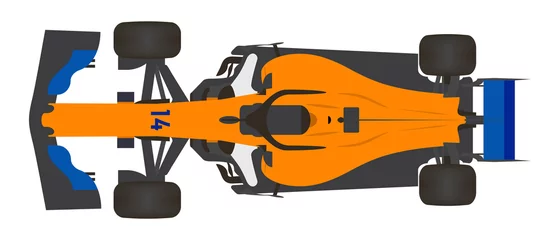 Kunstfelldecke mit Foto F1 Formel-1-Auto