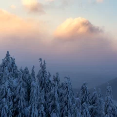 Foto op Aluminium Fantastic orange winter landscape in snowy mountains glowing by sunlight. Dramatic wintry scene with snowy trees. Christmas holiday concept. Carpathians mountain © Ivan Kmit