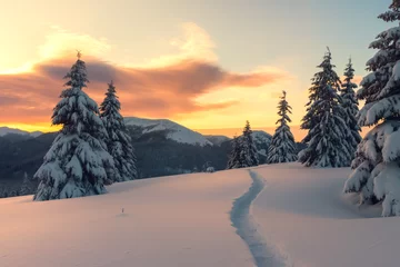 Fototapeten Fantastic orange winter landscape in snowy mountains glowing by sunlight. Dramatic wintry scene with snowy trees. Christmas holiday concept. Carpathians mountain © Ivan Kmit