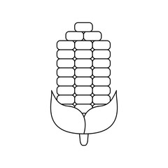 Corn vegetable isolated vector illustration graphic design