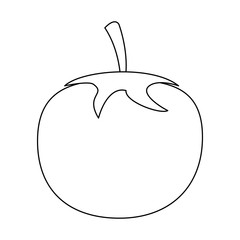 Tomato vegetable isolated vector illustration graphic design