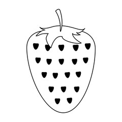 Strawberry fruit isolated vector illustration graphic design