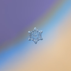 Snowflake glittering on blue gradient background. Macro photo of real snow crystal: small sectored plate with glossy surface, relief centrel hexagon, six broad arms and complex inner pattern.