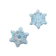 Two snowflakes isolated on white background. Macro photo of real snow crystals: small star plates with short, broad arms, glossy relief surface, fine hexagonal symmetry and beautiful inner patterns.