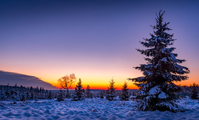 Sunset on the "High Fens National Park" on a winter day.