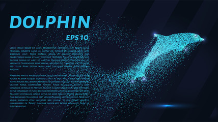 Dolphin of the particles. The Dolphin consists of circles and points. Vector illustration