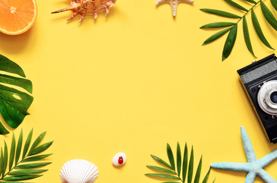 Tropical Background. Palm Trees Branches with camera and seashell on yellow background. Travel. Copy space.