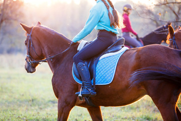 Obraz premium Group of rider girls riding their horses in park. Equestrian recreation activities background with copy space