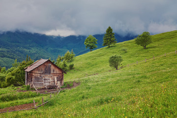 A wooden house on a green meadow in mountains. A house near old forest.
