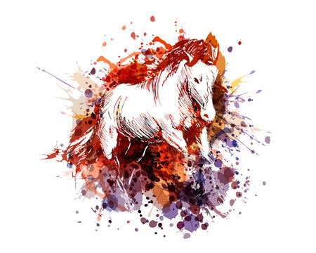 Vector color illustration of a horse