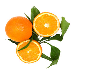 Orange fruit isolated on white background.Top view