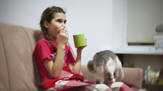 girl teenager eating a sandwich drinking tea and watching tv. girl child eating a sandwich cat trying to take food indoors