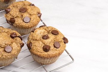 Homemade Chocolate Chip Muffins