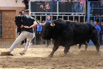 toros en espa&ntilde;a