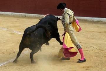 toros en espa&ntilde;a
