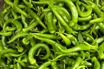 Spring summer detox vegetable diet. Close up of harvest pile. Supermarket stand of clean and shiny vegetables assortment.