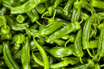 Spring summer detox vegetable diet. Close up of harvest pile. Supermarket stand of clean and shiny vegetables assortment.