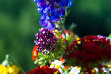a bouquet of bright spring flowers of various types