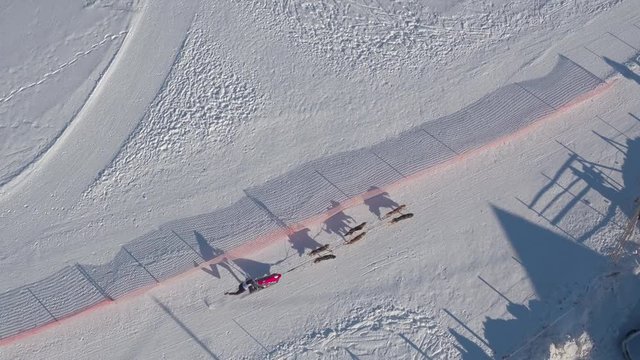 Aerial view of a person riding a dog sled