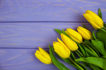 Yellow tulips on the purple wooden background