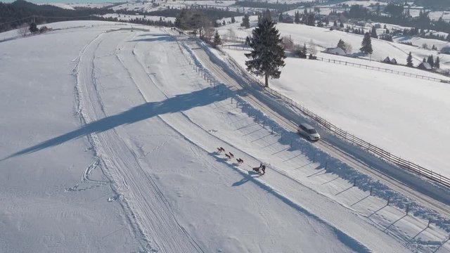 Aerial view of a dog sled riding in the snow