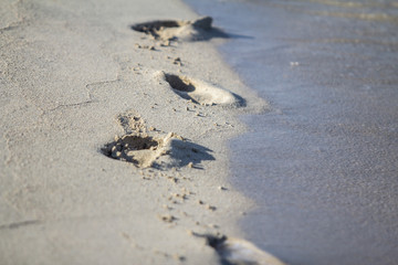 Footprints on the beach