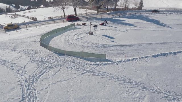 Aerial view of sled dogs going in the wrong direction