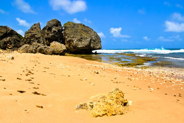 scenic view of bathsheba beach barbados