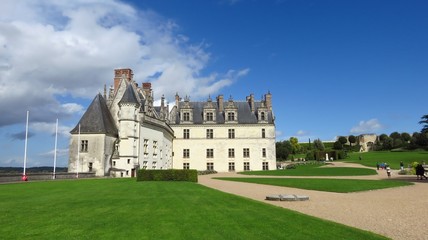 Fototapeta na wymiar Vue sur le château d’Amboise et son parc, en été (France)