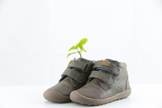 Zapatos de bebe