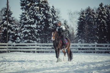 Winter jump horse ride jumping