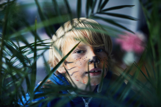 Child with face painted like a tiger