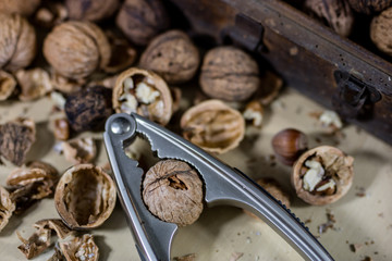 Walnuts on a wooden kitchen table. Nuts and a black wooden crate with a nutcracker.
